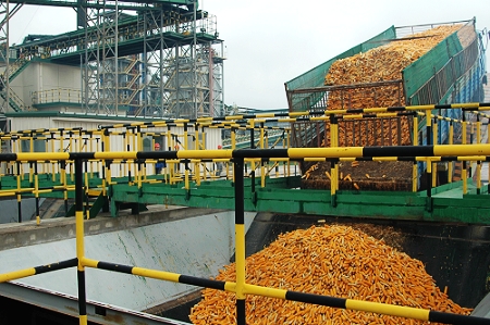 敦煌種業(yè)先鋒良種有限公司酒泉種子加工廠三、四期工程竣工投產(chǎn)