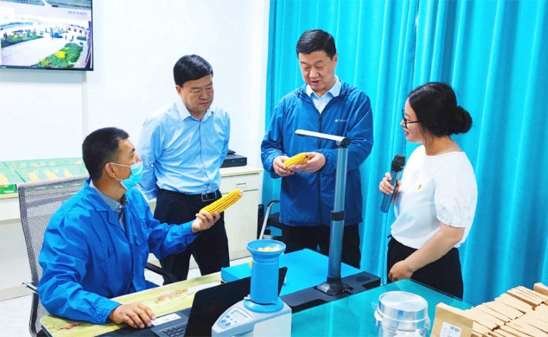 甘肅省地方金融監(jiān)管局、甘肅證監(jiān)局領(lǐng)導(dǎo)蒞臨敦煌種業(yè)調(diào)研指導(dǎo)