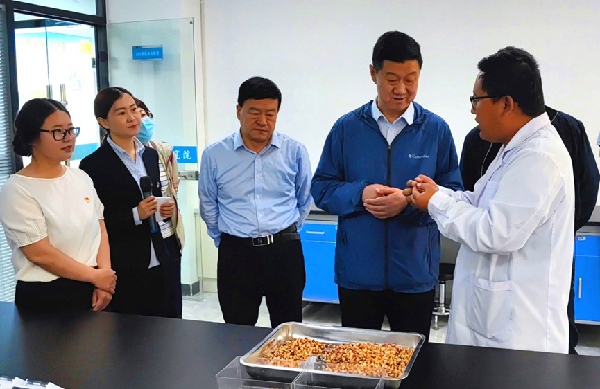 甘肅省地方金融監(jiān)管局、甘肅證監(jiān)局領(lǐng)導(dǎo)蒞臨敦煌種業(yè)調(diào)研指導(dǎo)